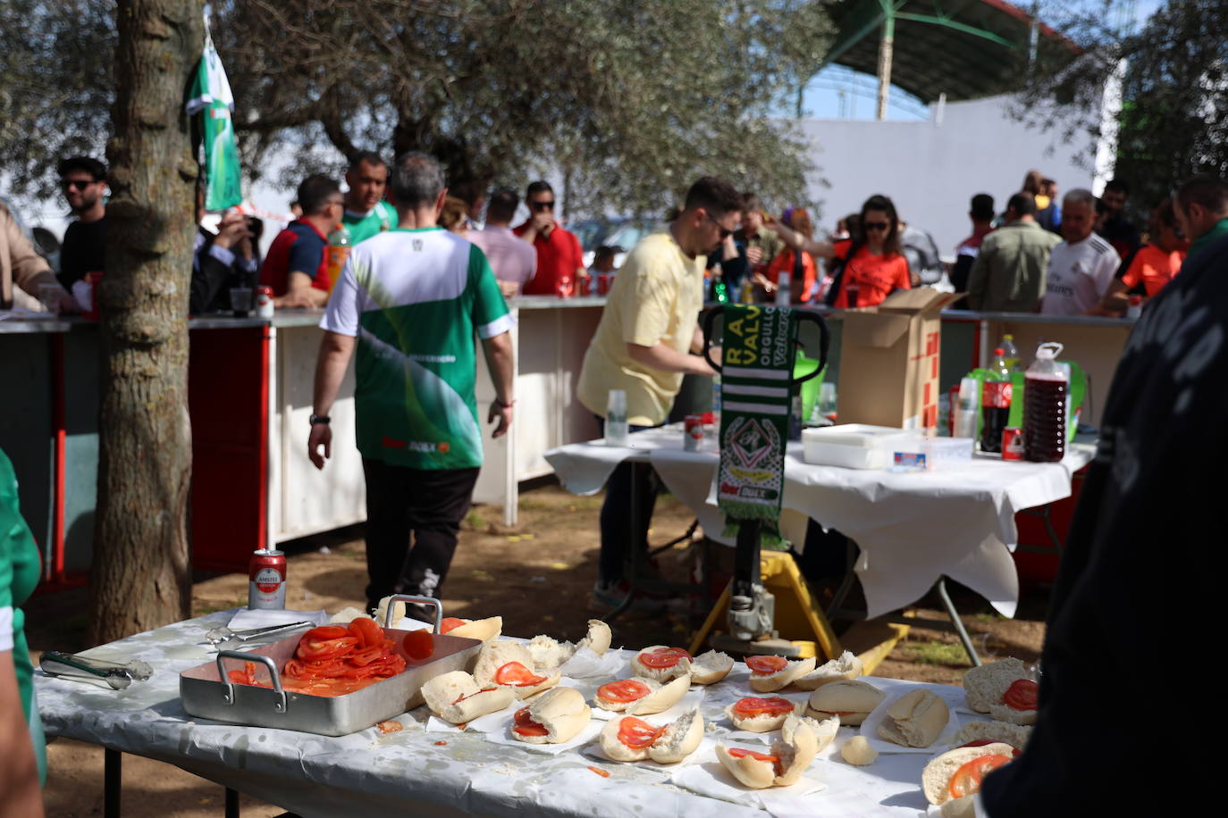 Mujer y Deporte (II)