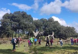 Visitando a la Encina Madre