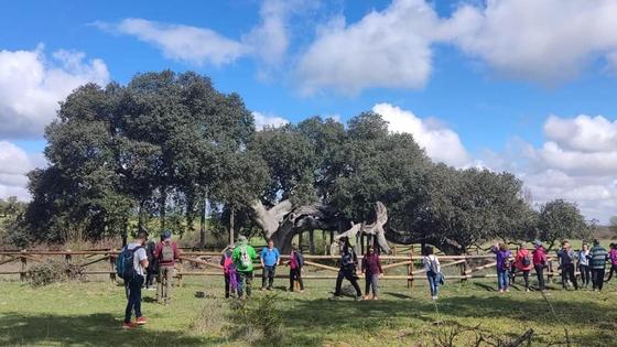 La Encima Madre, protagonista de una ruta organizada por el Centro de Turismo