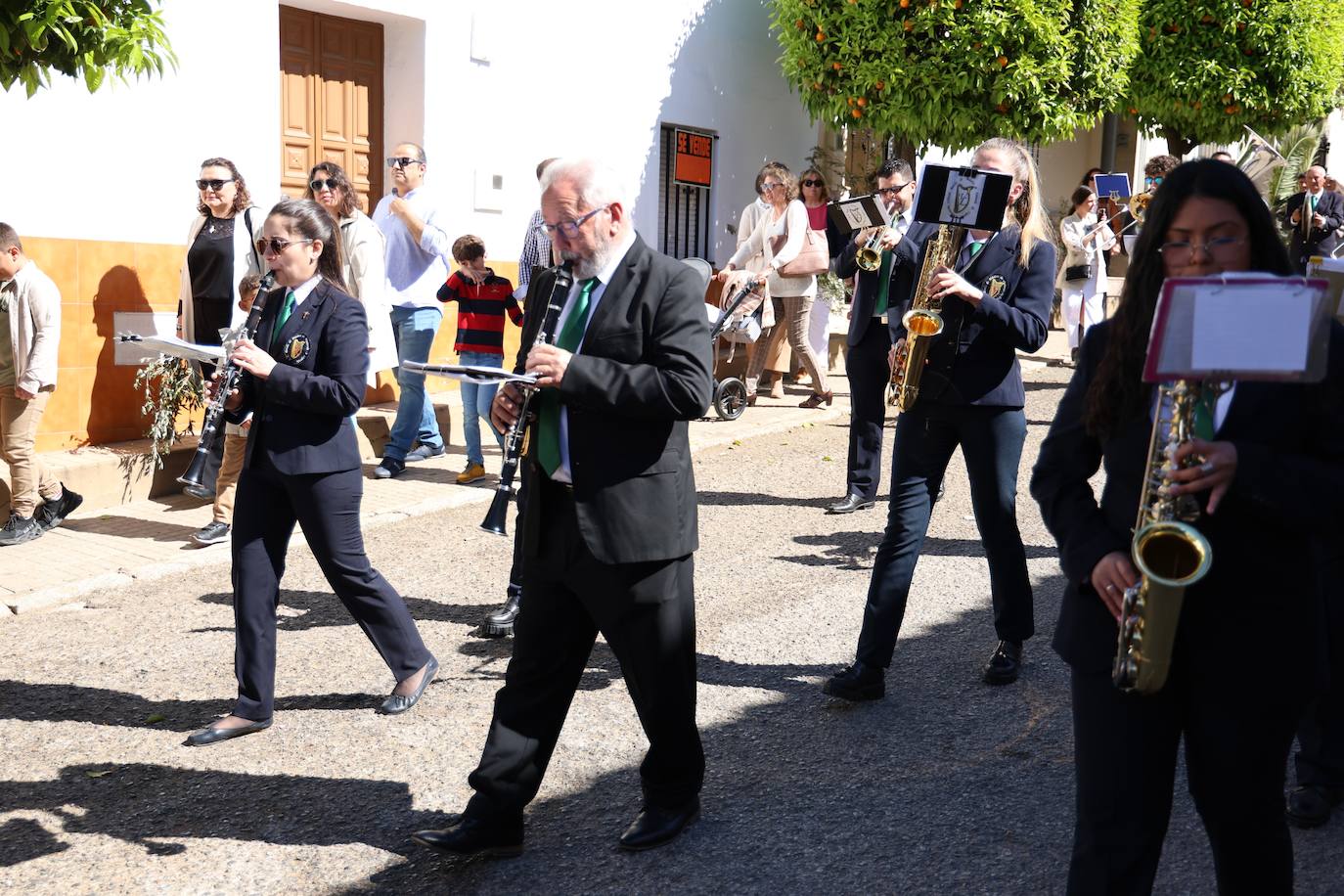 Domingo de Ramos