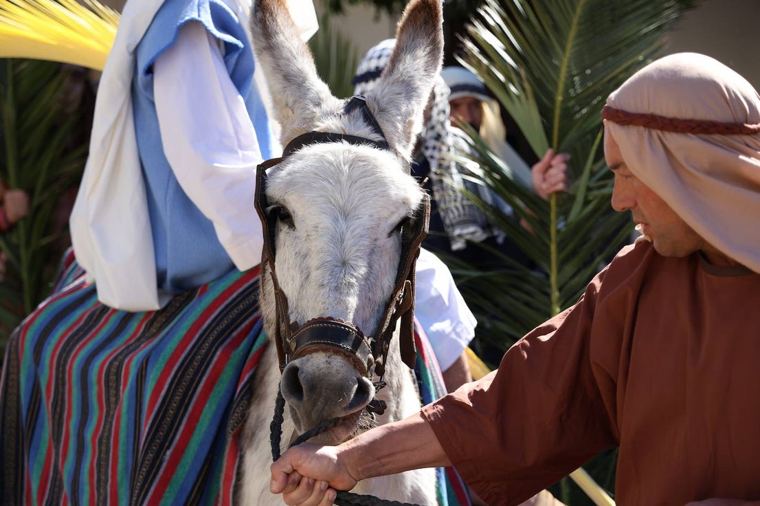 Domingo de Ramos