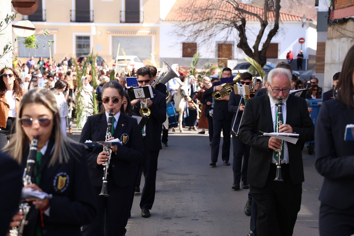 Domingo de Ramos