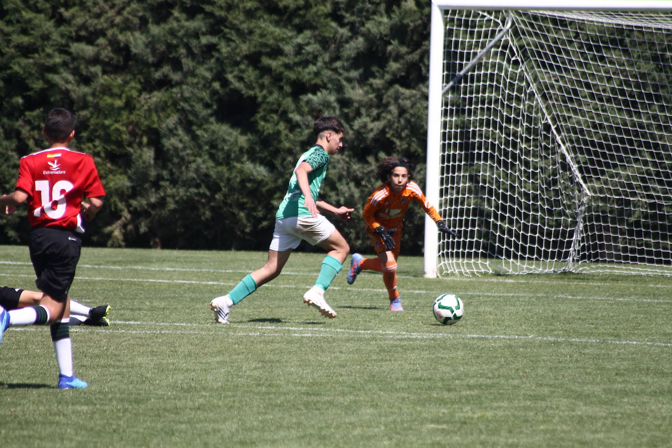 II Torneo Ibérico de Fútbol 'Villa de Valverde' (II)