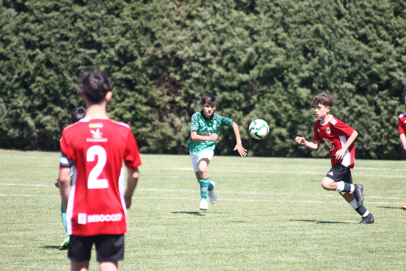 II Torneo Ibérico de Fútbol 'Villa de Valverde' (II)
