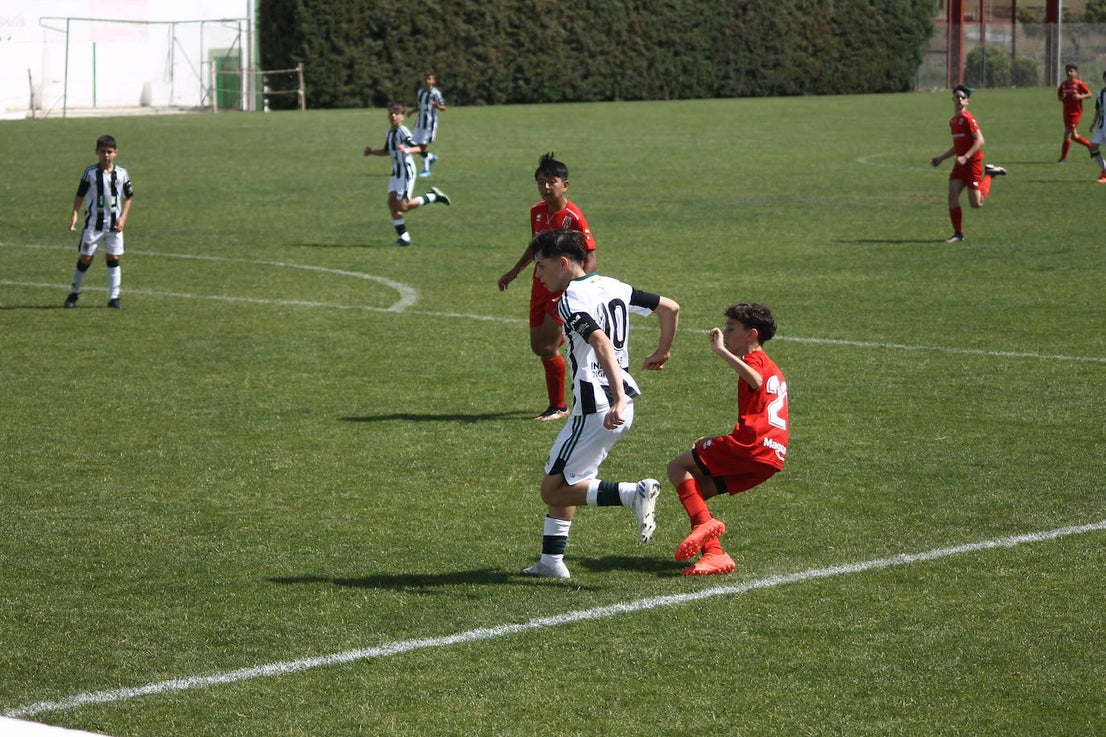 II Torneo Ibérico de Fútbol 'Villa de Valverde'