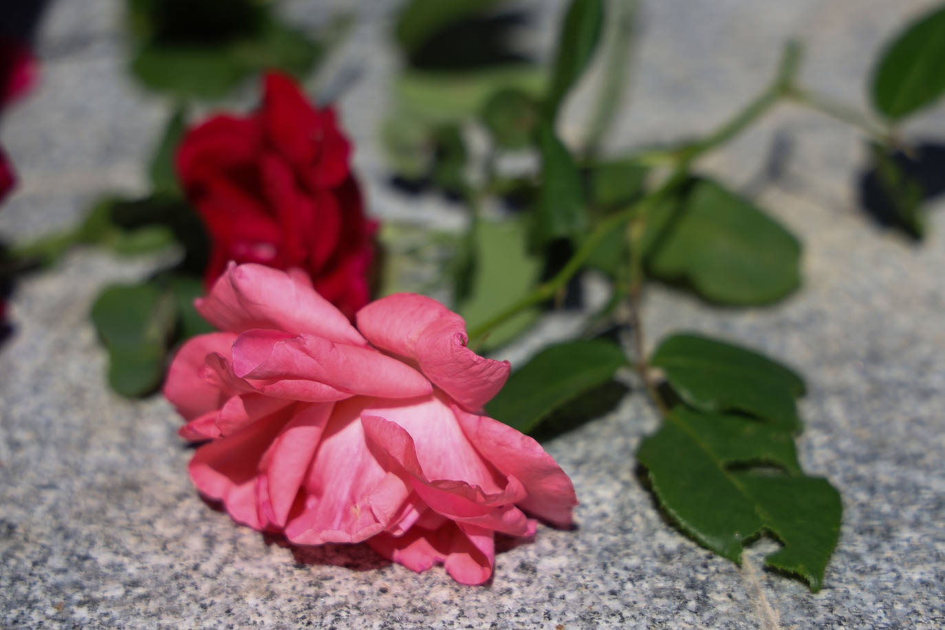 Homenaje a las víctimas del campo de concentración de Mauthausen