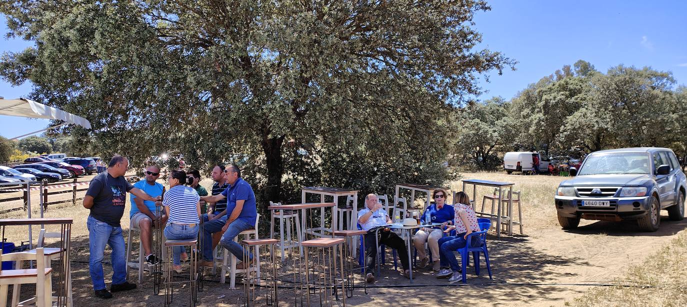 Romería de San Isidro