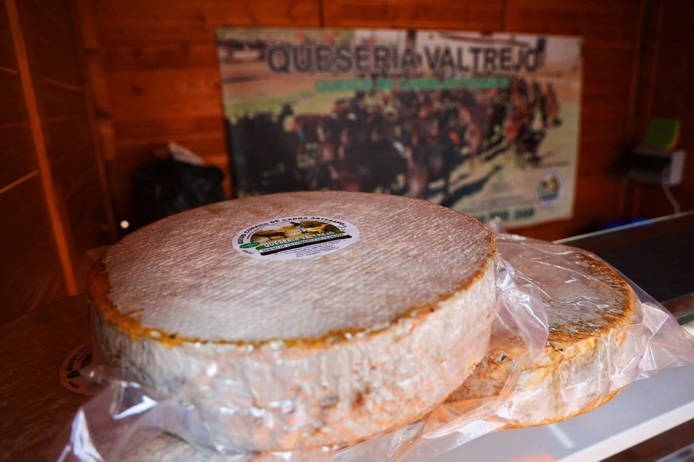 XII Vive la Trashumancia y IV Feria del Queso Artesano (I)