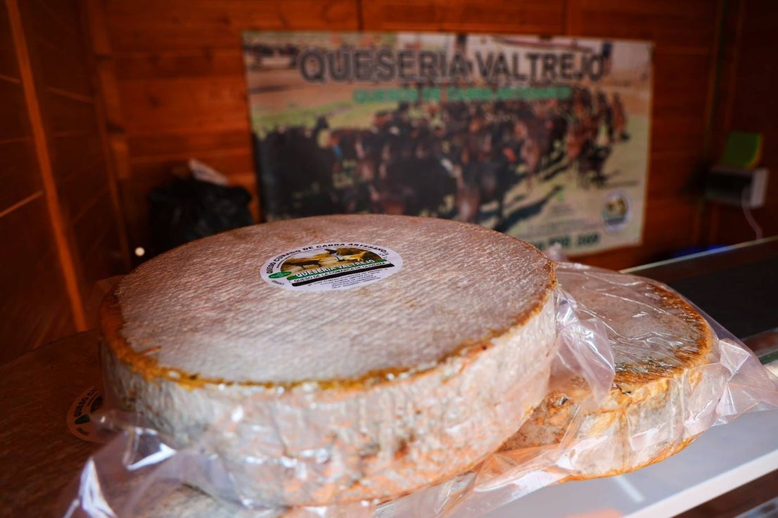 XII Vive la Trashumancia y IV Feria del Queso Artesano (I)