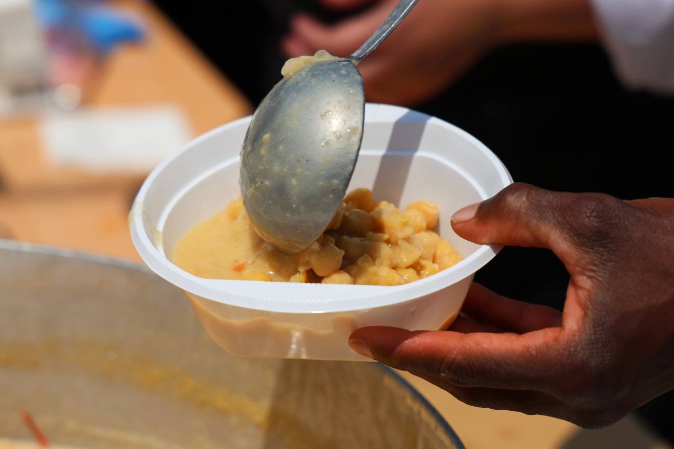 XII Vive la Trashumancia y IV Feria del Queso Artesano (I)