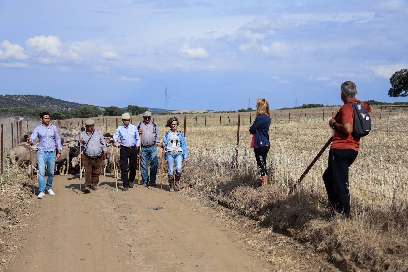 XII Vive la Trashumancia y IV Feria del Queso Artesano (V)