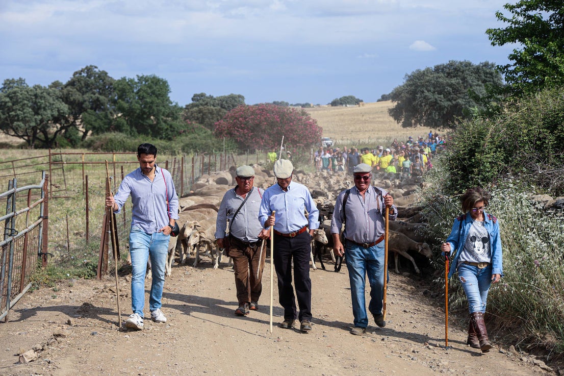 XII Vive la Trashumancia y IV Feria del Queso Artesano (V)