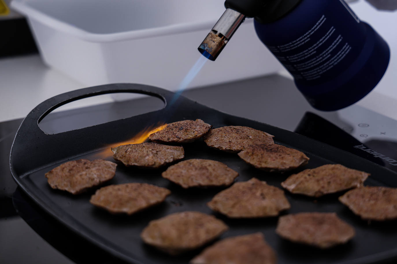 XII Vive la Trashumancia y IV Feria del Queso Artesano (VI)