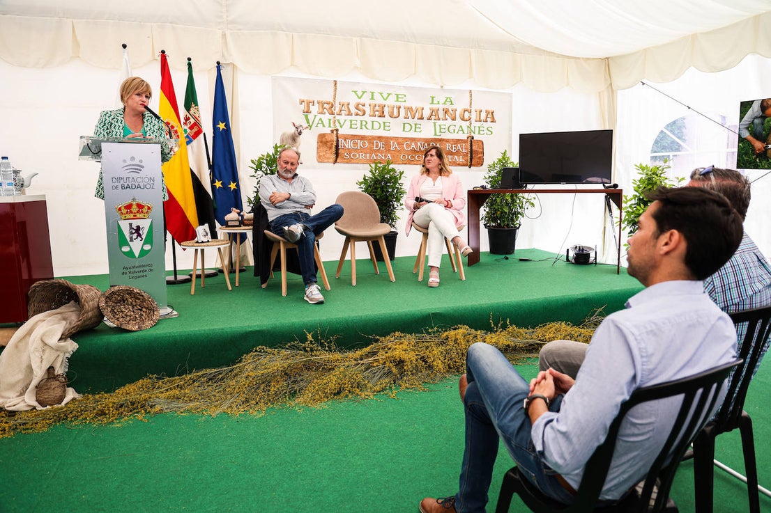 XII Vive la Trashumancia y IV Feria del Queso Artesano (III)
