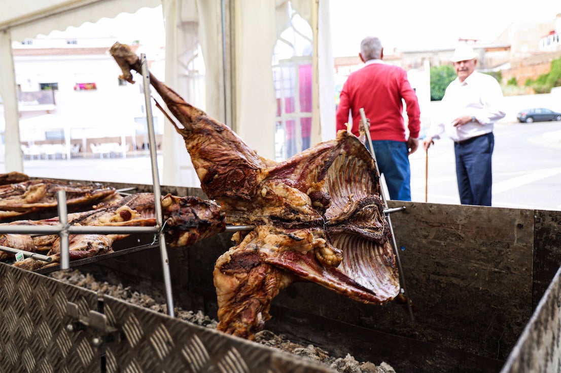 XII Vive la Trashumancia y IV Feria del Queso Artesano (III)
