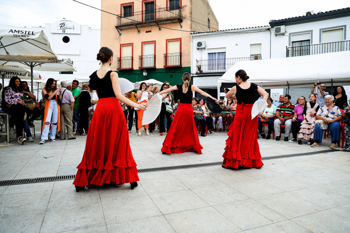 XII Vive la Trashumancia y IV Feria del Queso Artesano (IV)