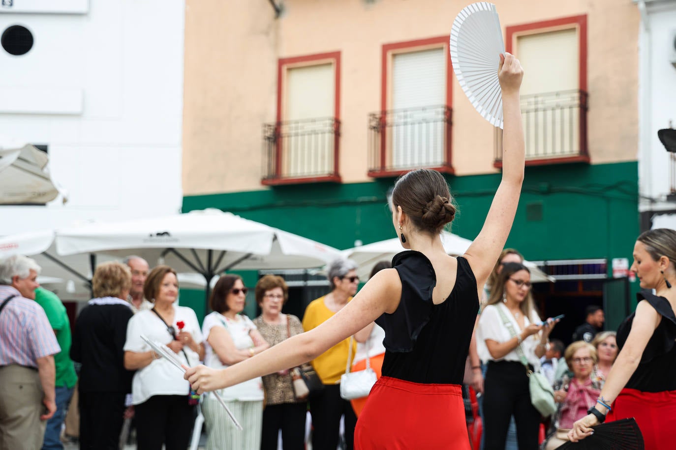 XII Vive la Trashumancia y IV Feria del Queso Artesano (IV)