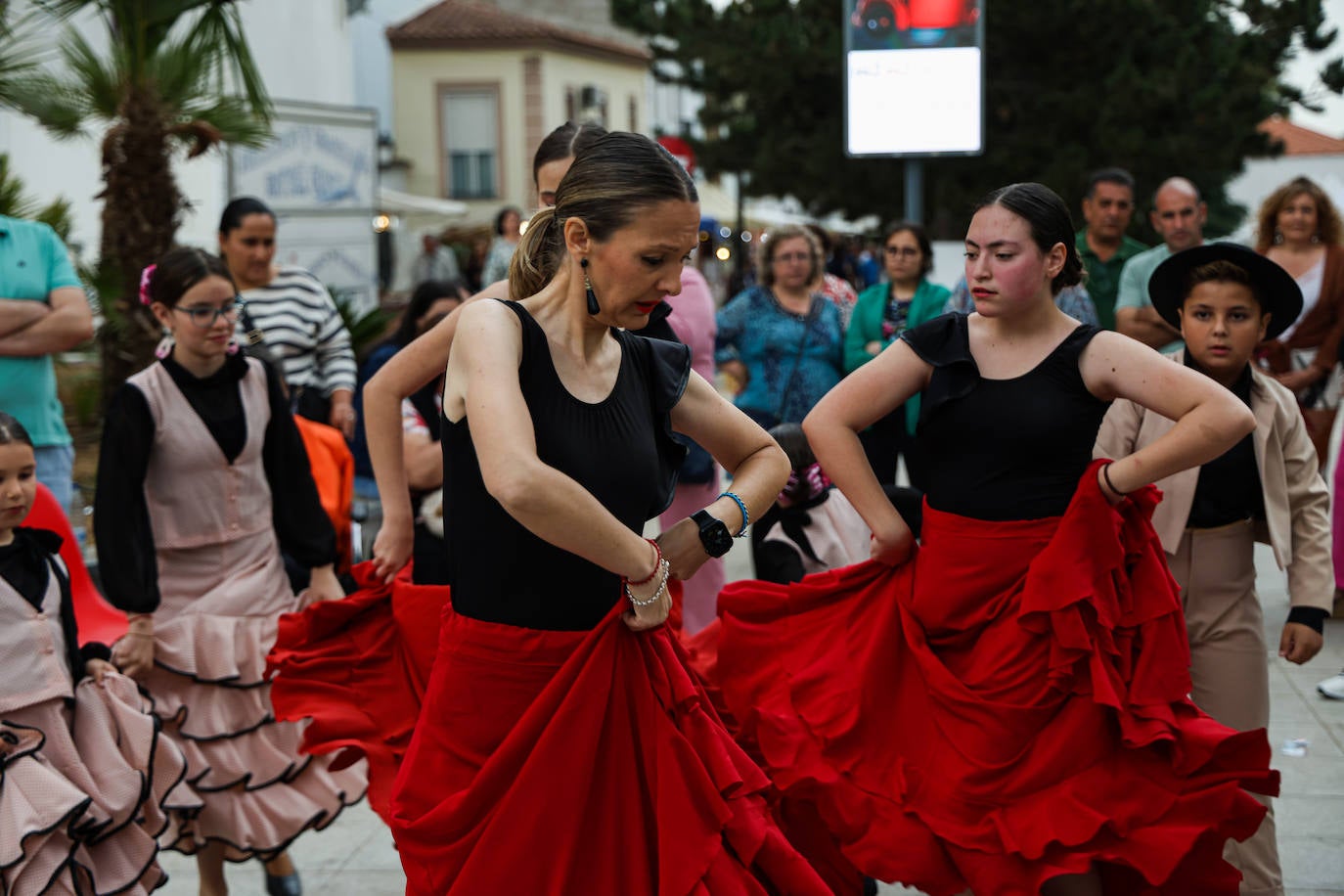 XII Vive la Trashumancia y IV Feria del Queso Artesano (IV)