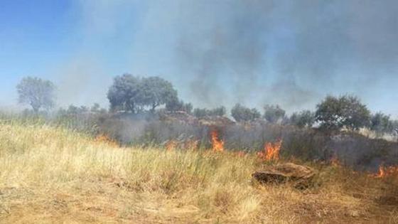 La importancia de mantener limpios y acondicionados los terrenos y solares