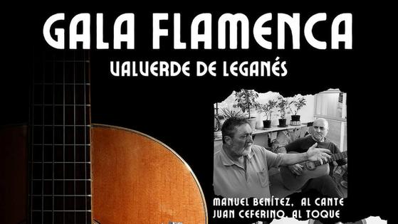 El ocho de julio vuelve el flamenco a la Casa de la Cultura