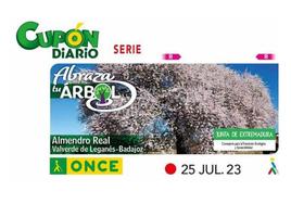 El Almendro Real será protagonista del Cupón Diario del 25 de julio