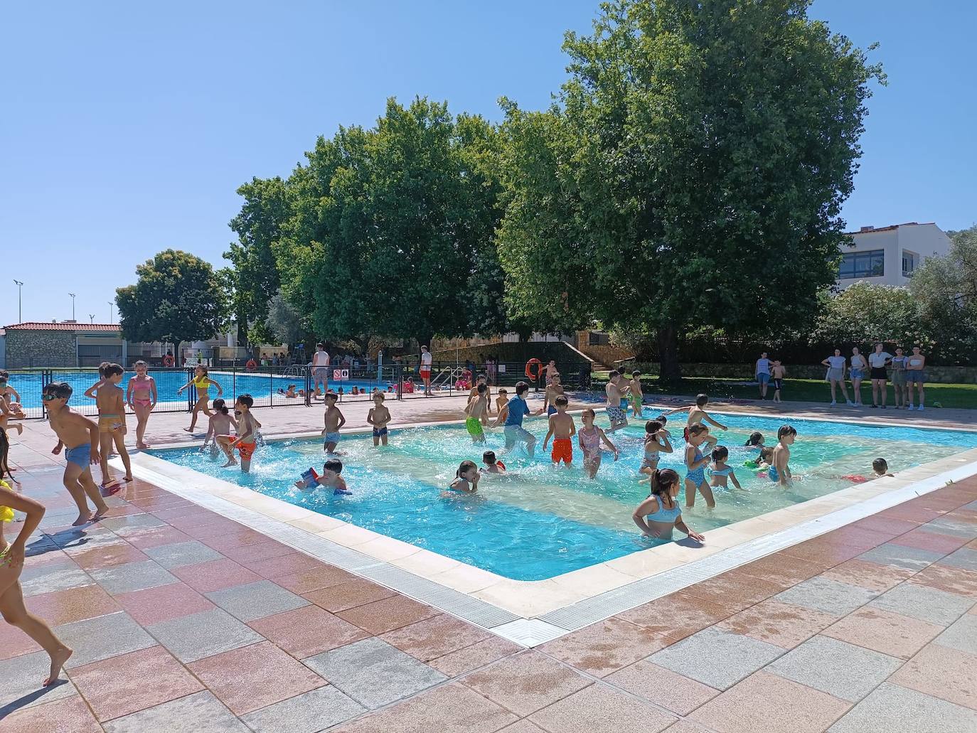 Primera quincena del Campapento de Verano 'La Tribu'