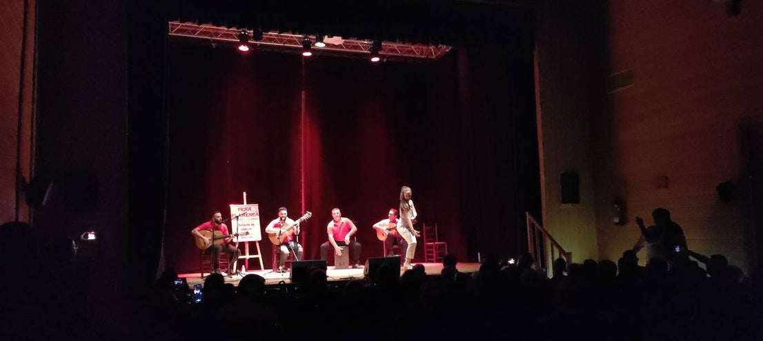 Gala de Flamenco