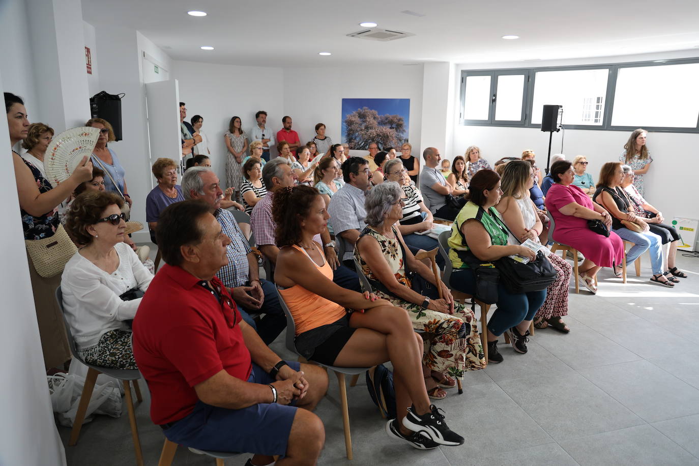 Presentación del Cupón con el Almendro Real