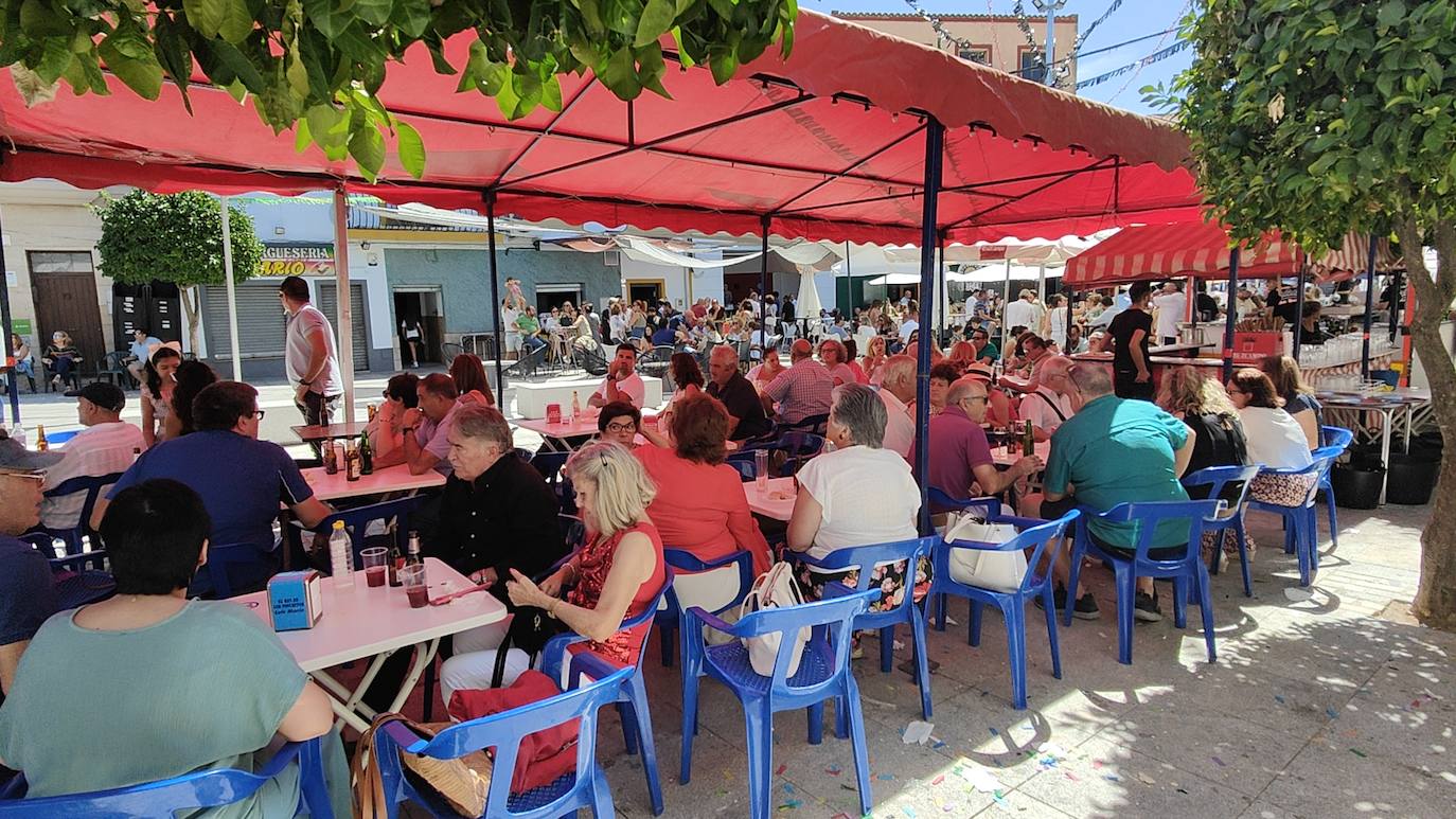 Ferias y Fiestas de Agosto (V)