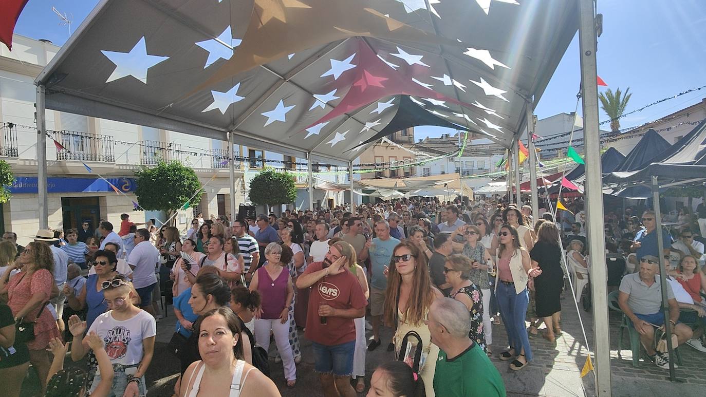 Ferias y Fiestas de Agosto (V)