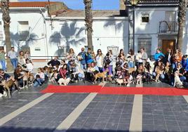 Desfile Canino del año pasado
