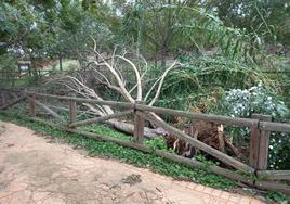 Borrasca Aline en Valverde de Leganés