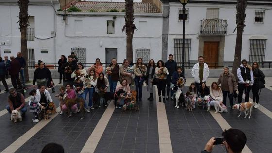 El IV Desfile Canino de AMAVAL cuenta con 24 participantes