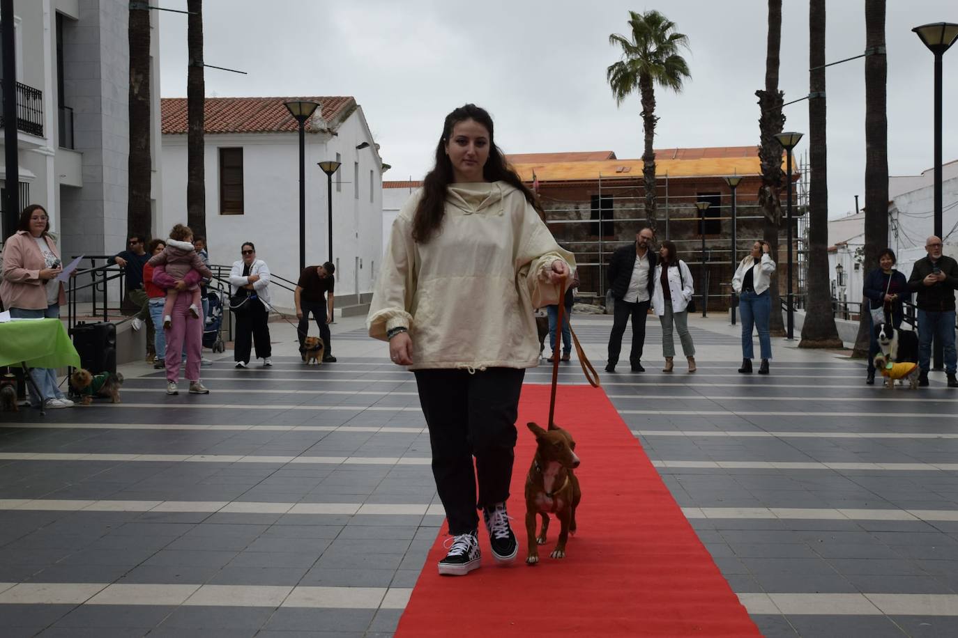 IV Desfile Canino