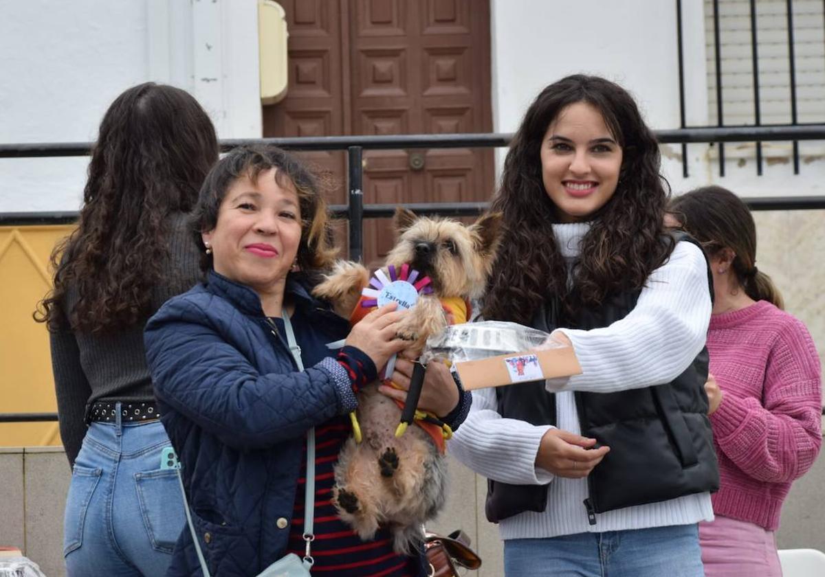 IV Desfile Canino