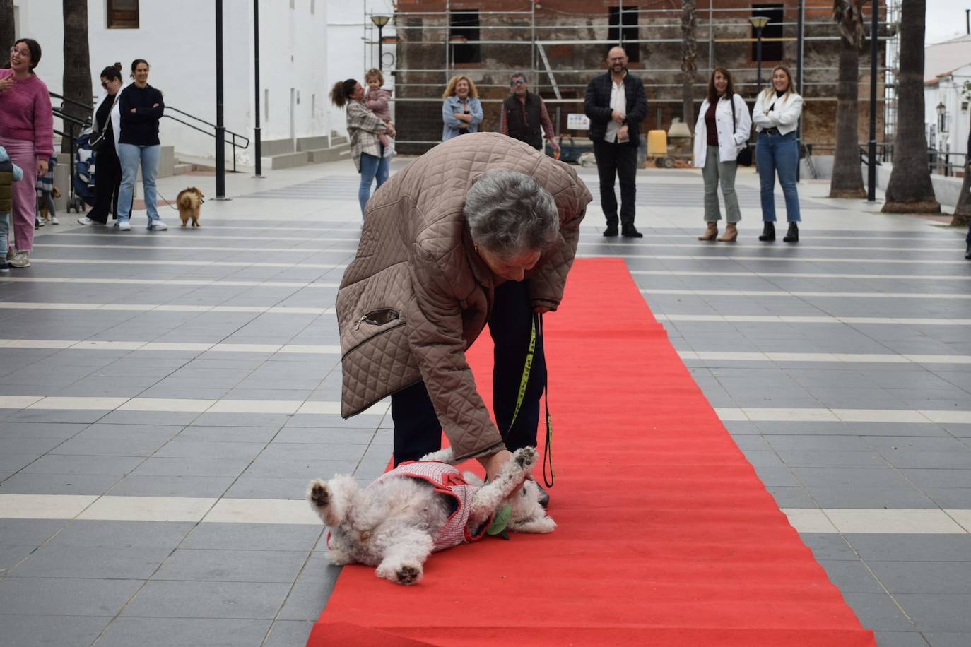IV Desfile Canino