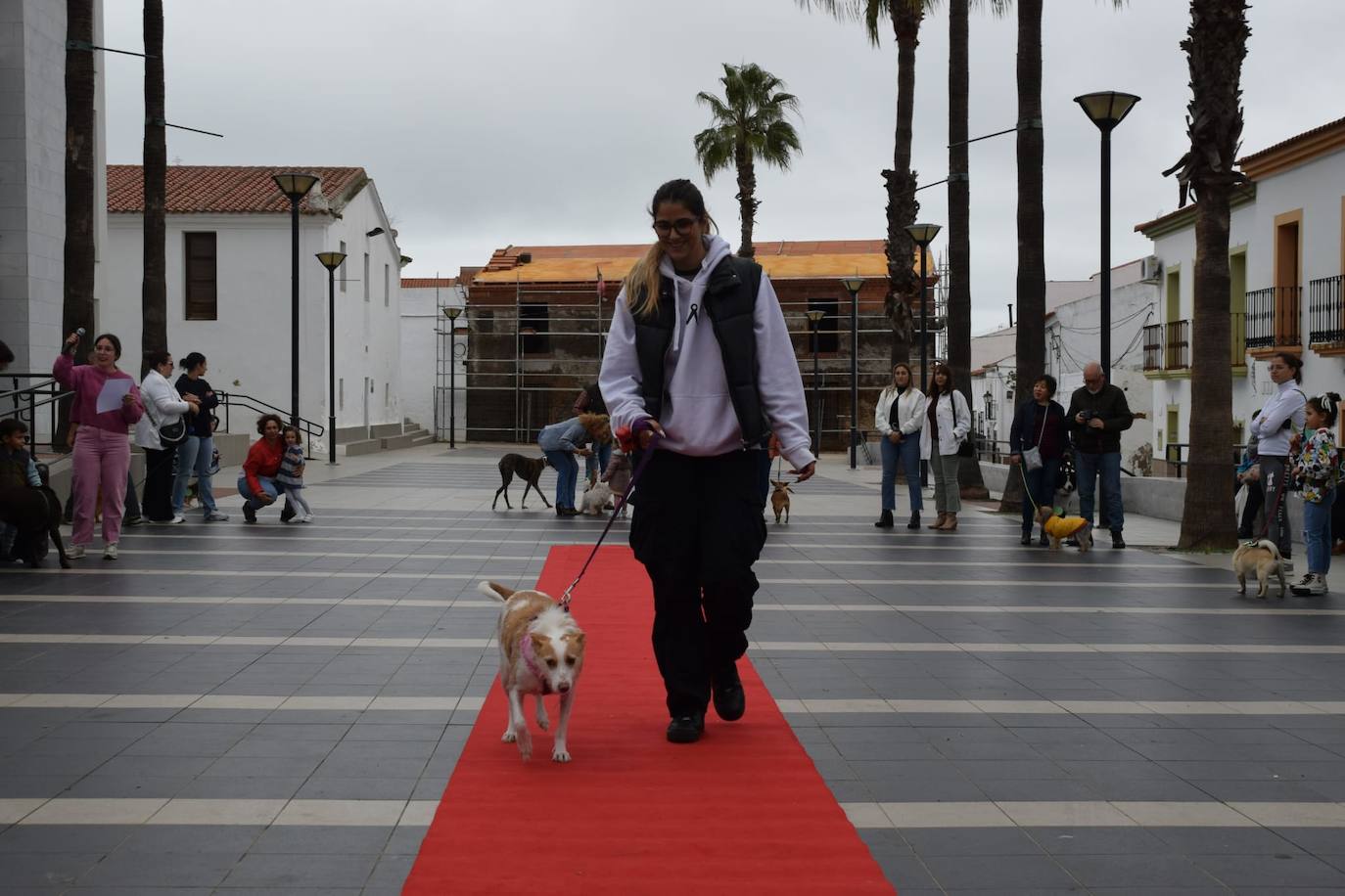 IV Desfile Canino