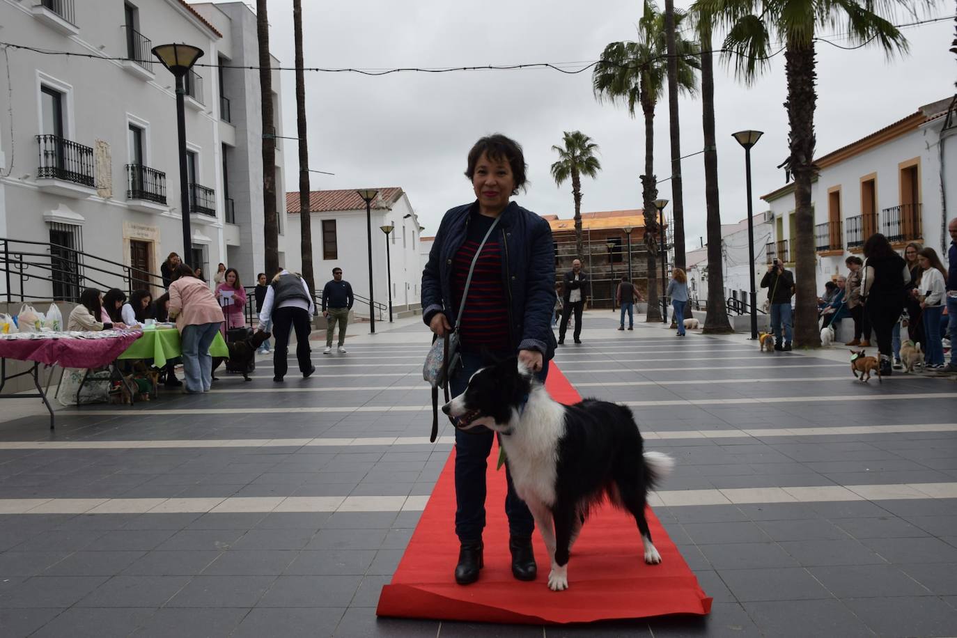 IV Desfile Canino