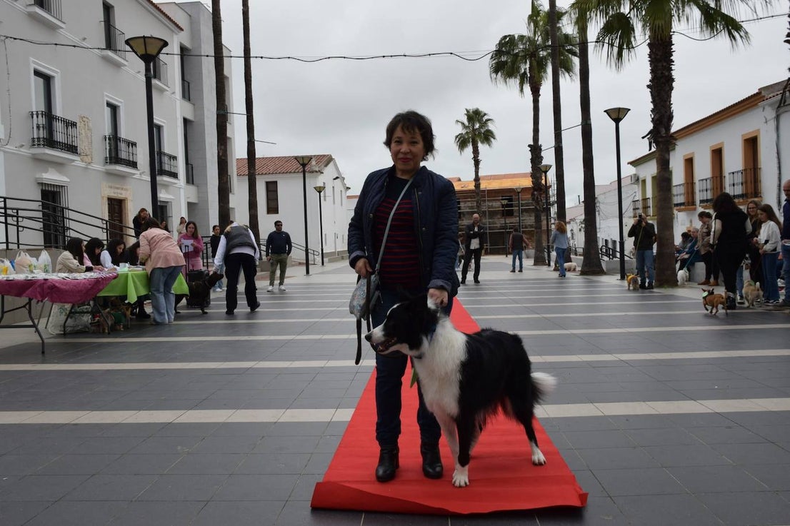IV Desfile Canino