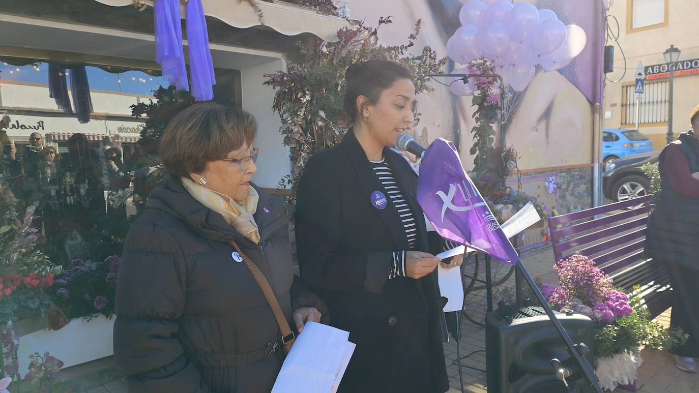Día de la Eliminación de la Violencia contra la Mujer