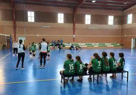 Voleibol Alevín EMD Valverde - CD Marsitas A