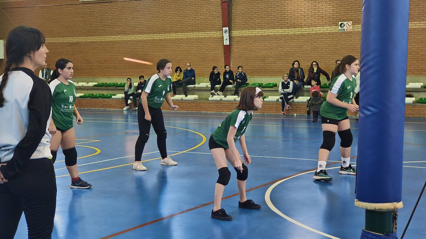 Voleibol Alevín EMD Valverde - CD Marsitas A