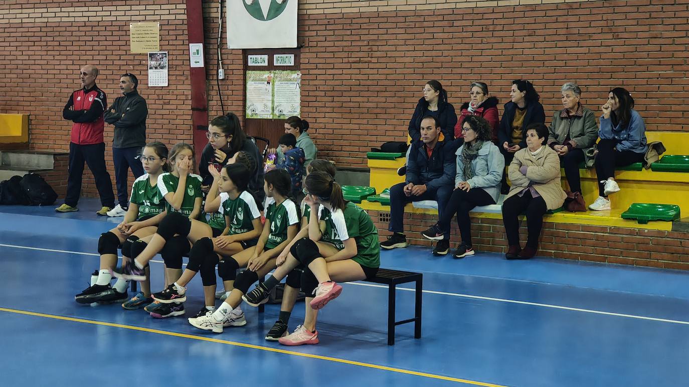 Voleibol Alevín EMD Valverde - CD Marsitas A
