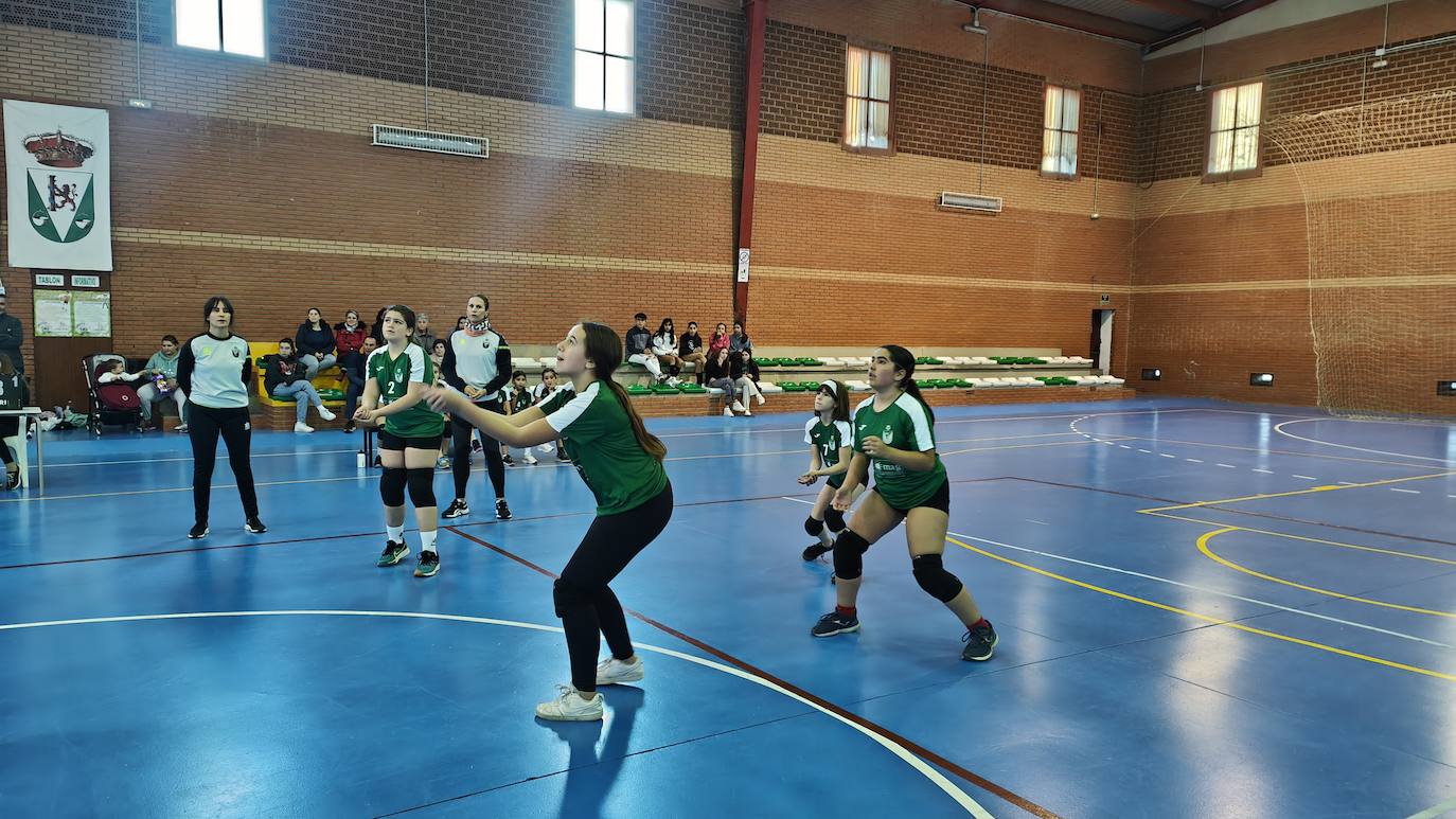 Voleibol Alevín EMD Valverde - CD Marsitas A