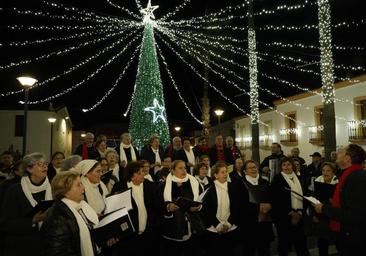 Encendido del alumbrado navideño (II)