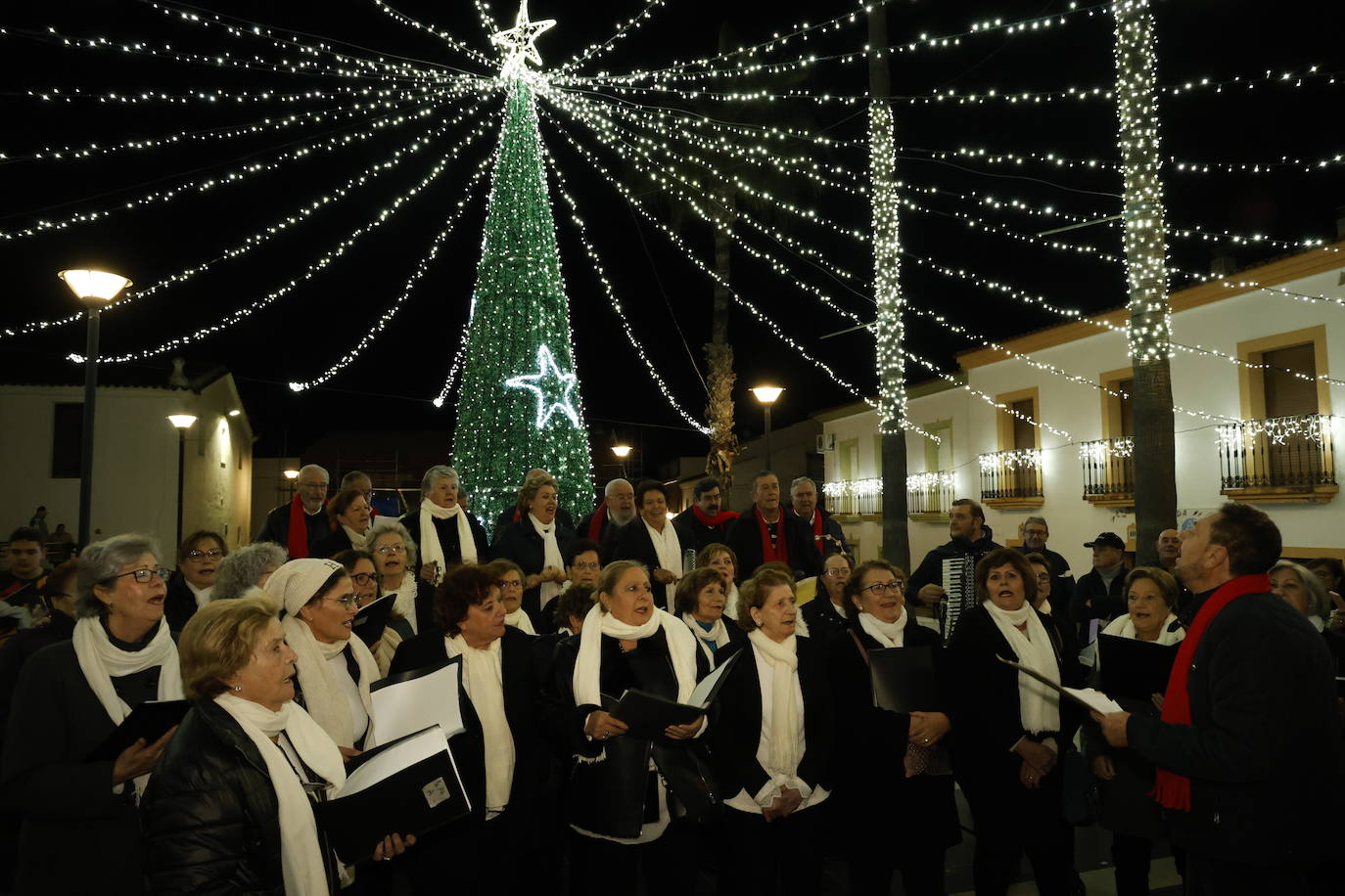Encendido del alumbrado navideño (II)