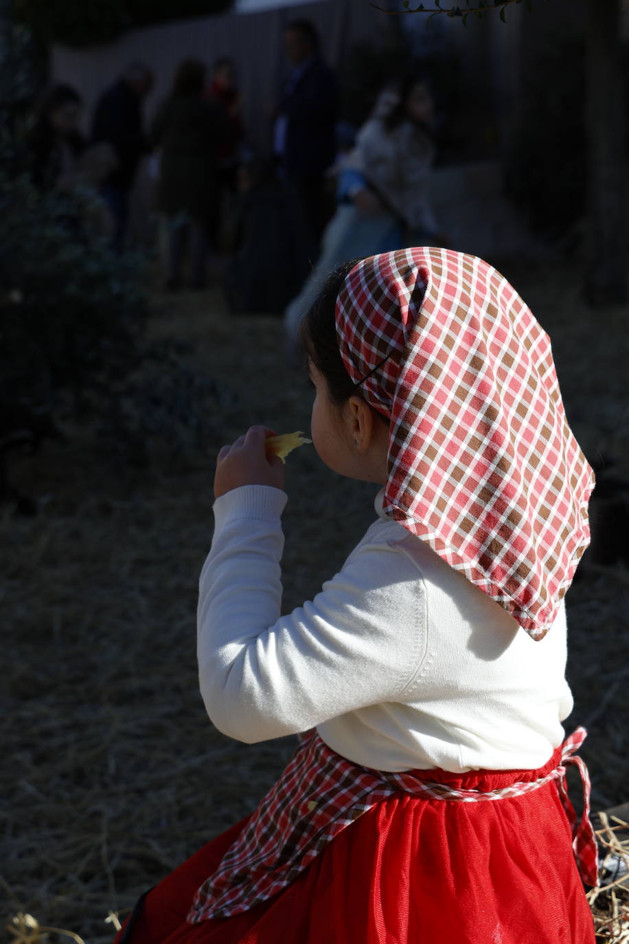 Belén Viviente 2023 (II)