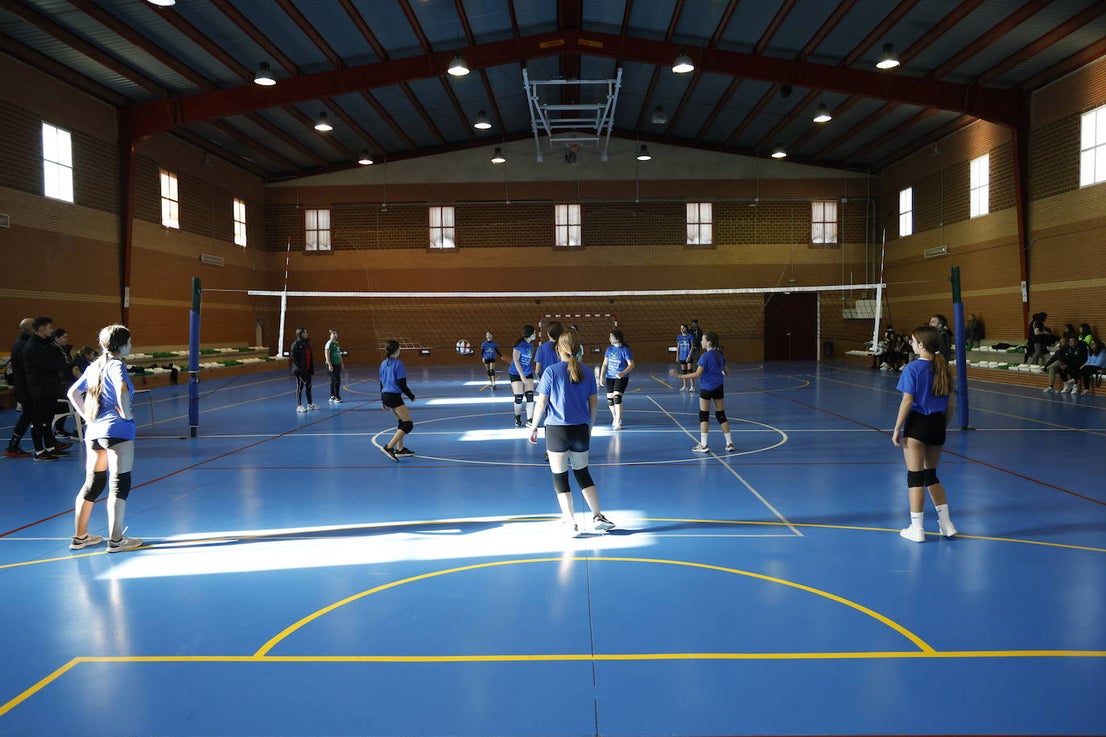 Deporte Solidario (II)
