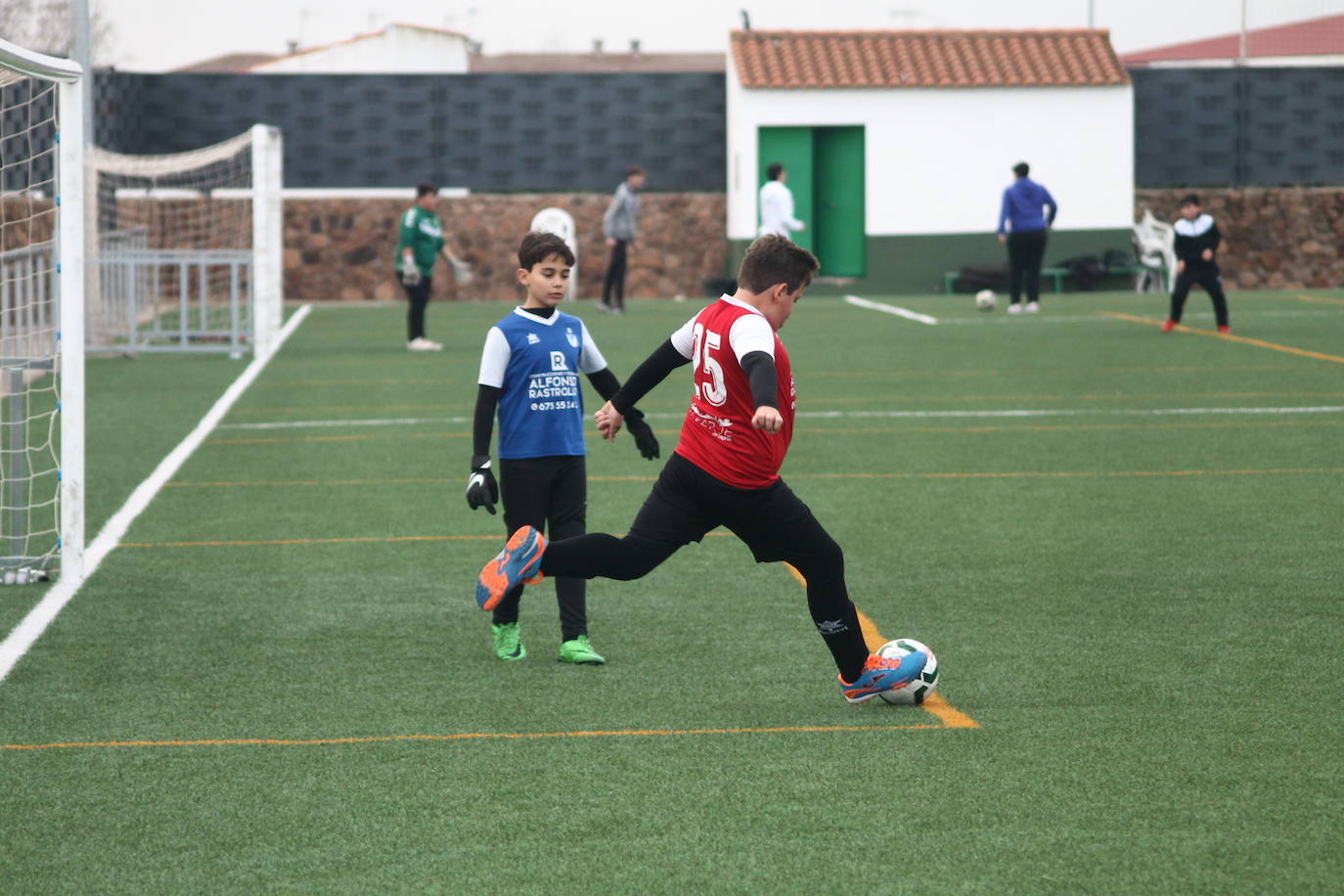 Fotos: Alevines B - Alevines B