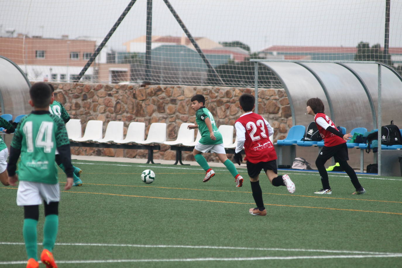 Fotos: Alevines B - Alevines B